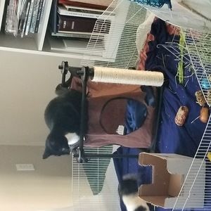 Meet your Posher, Allison